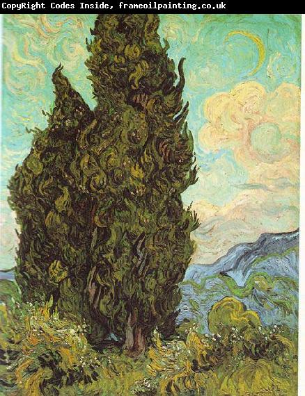Vincent Van Gogh Cypresses